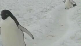 情侣小视频国产区